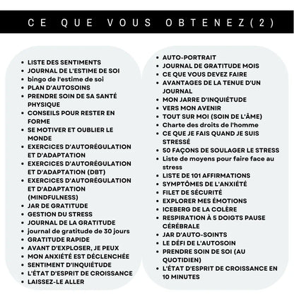 Contenu complet du cahier de santé mentale en français : gestion du stress, journal de gratitude, affirmations et exercices d'autorégulation.