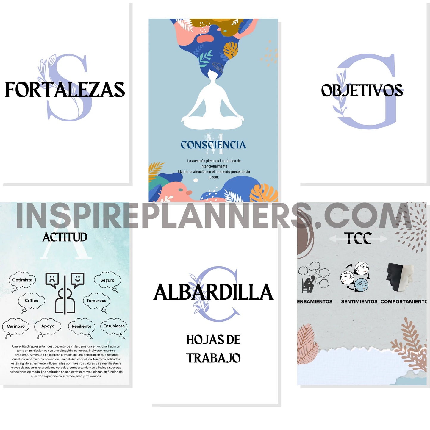 Áreas clave del paquete de salud mental en español: fortalezas, objetivos, TCC, conciencia, actitud y herramientas prácticas.