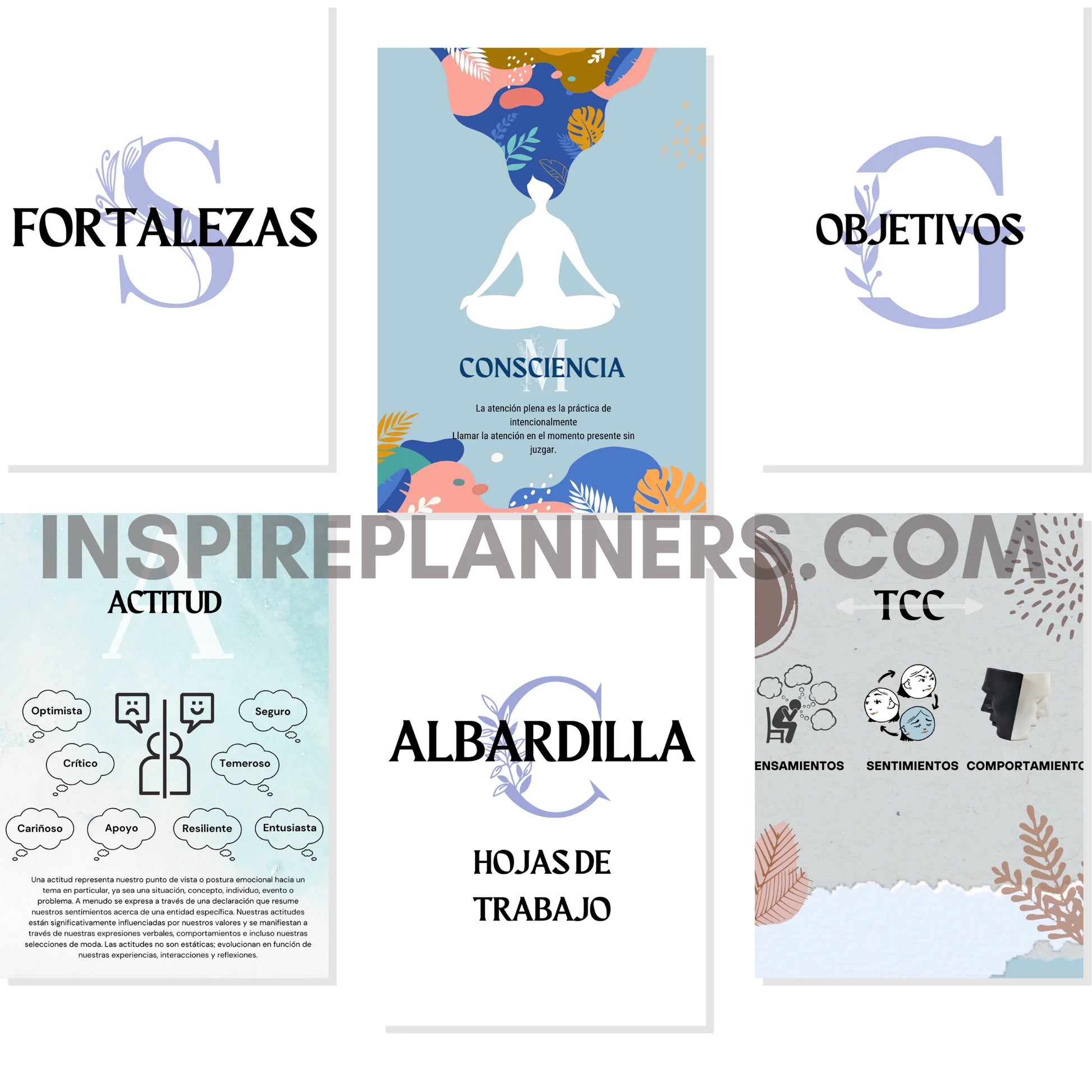 Áreas clave del paquete de salud mental en español: fortalezas, objetivos, TCC, conciencia, actitud y herramientas prácticas.